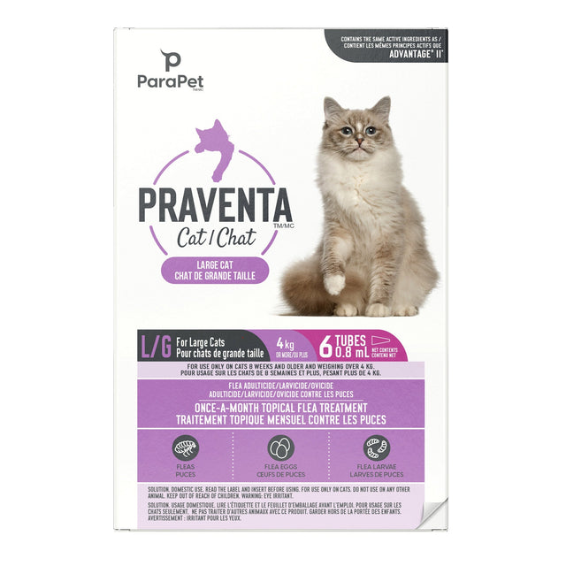 Parapet Praventa Flea Protection for Large Cats over 4kg, 6 Tubes M3