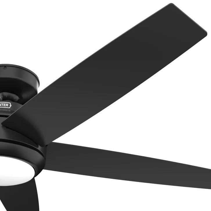 Hunter Fan Zayden 52 in. Ceiling Fan