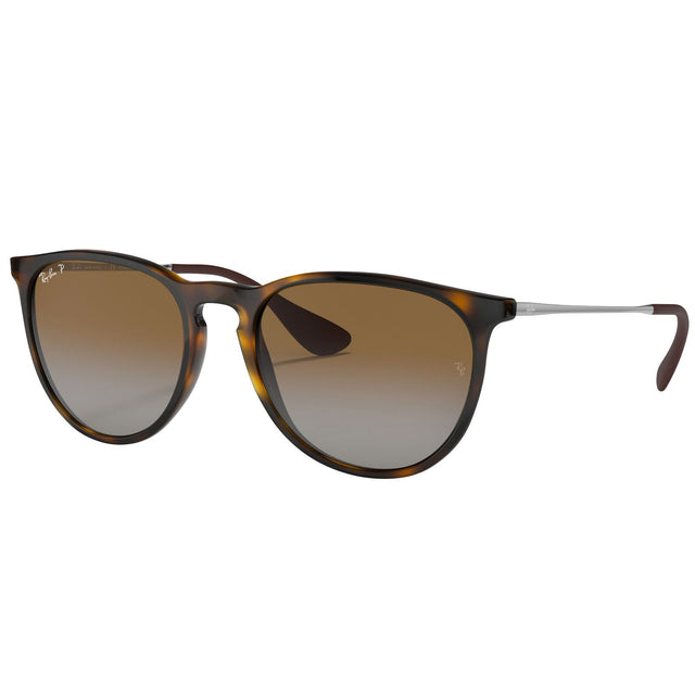 Ray-Ban Erika Classic RB4171 Polarized Sunglasses T6