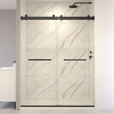 Appollo Bison 32 in. x 60 in. Alcove Shower Kit