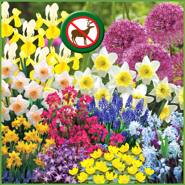 Horticana: Naturalizing and Deer-resistant Spring Garden Bulbs M8