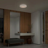 Artika Hemisphere Flush Mount Light
