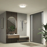 Artika Hemisphere Flush Mount Light