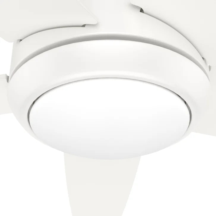 Hunter Fan Zayden 52 in. Ceiling Fan