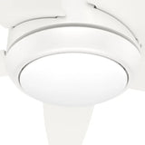 Hunter Fan Zayden 52 in. Ceiling Fan