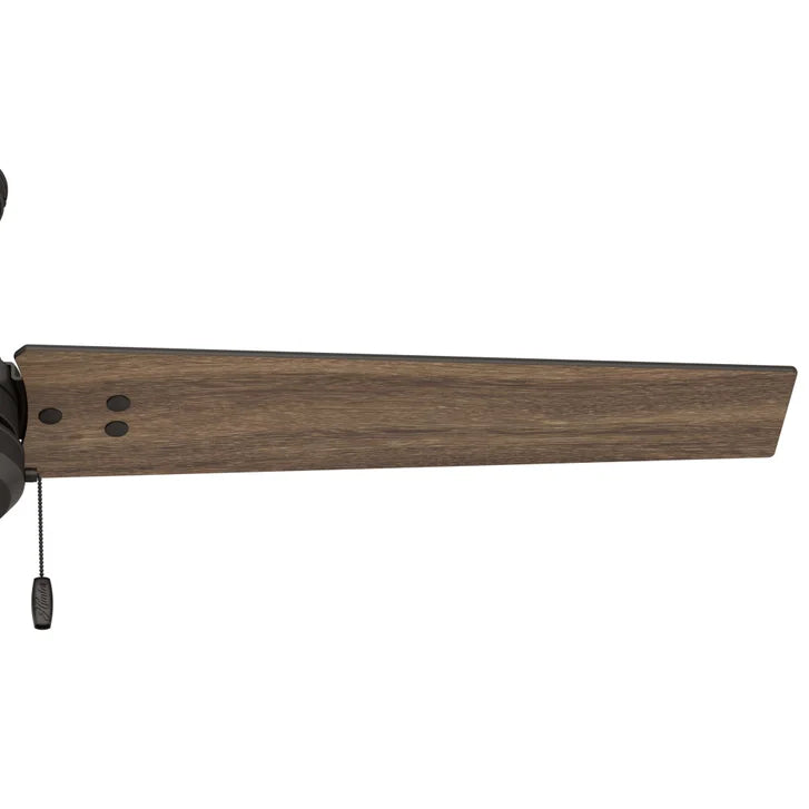 Hunter Fan Cassius 52 in. Indoor/Outdoor Ceiling Fan