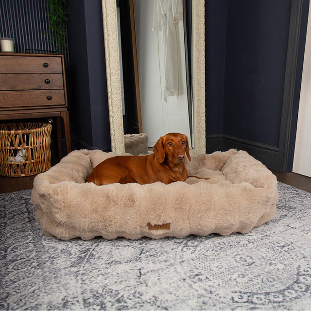 Scruffs Alpine Dog Bed 35 in. x 28 in. M3