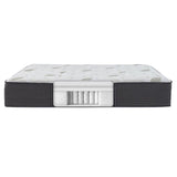 Beautyrest Natural Care Fern Tight Top Twin XL Mattress or Set