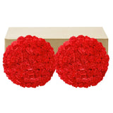 Carnations, 100 Stems