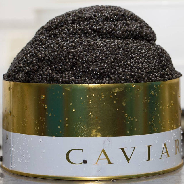 Quintessence Oscietra Sturgeon Caviar C1