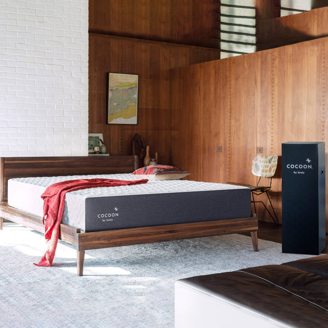 Cocoon by Sealy 25.4 cm (10 in.) Memory Foam Queen Mattress C2