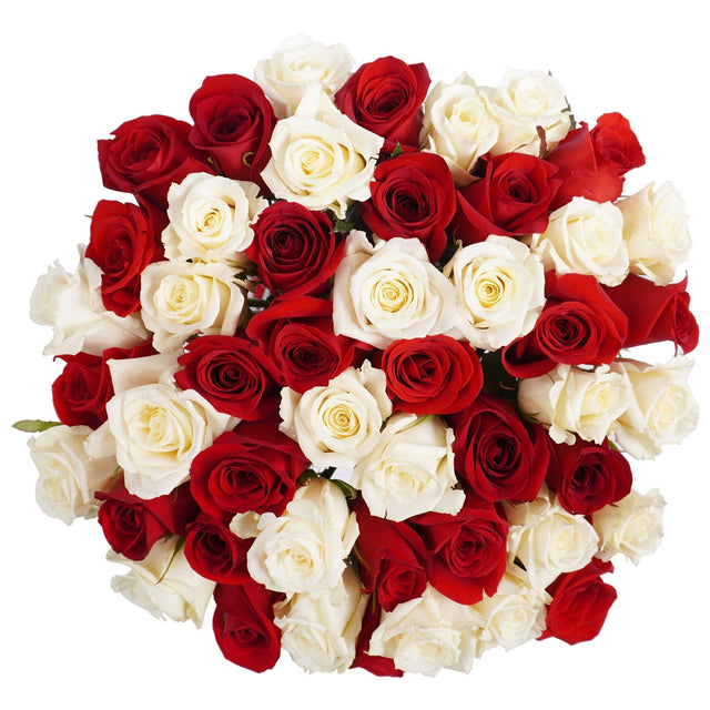 Roses, 48 Stems - Red & White P2