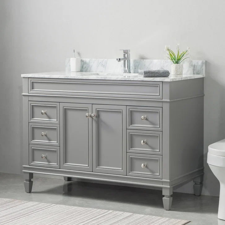 VanGo Chelsea Collection 48 in. Vanity