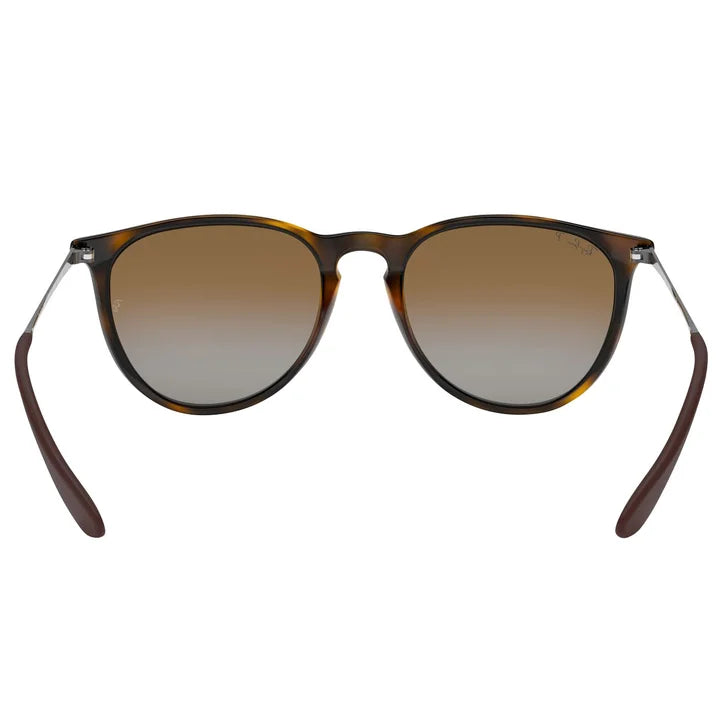 Ray-Ban Erika Classic RB4171 Polarized Sunglasses