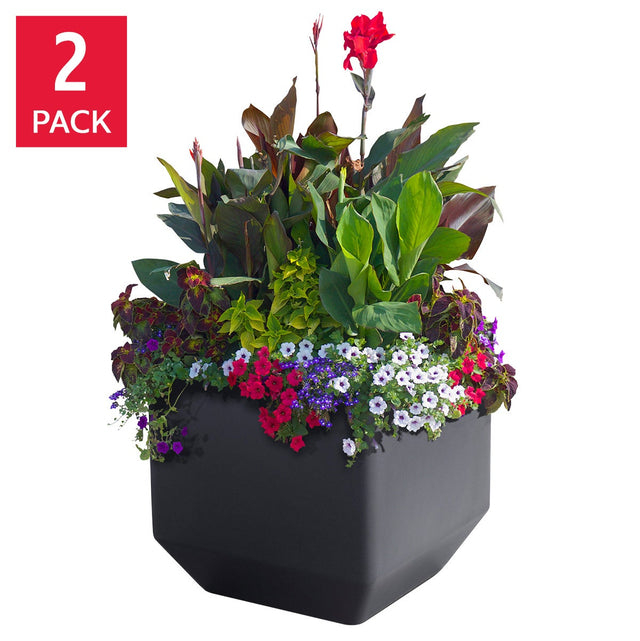 Versa 40.6 cm (16 in.) Square Self-watering Planter, 2-pack O2