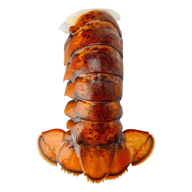 Blue Tide Frozen Wild Lobster Tail, 4-5 oz. 4.54 kg P0