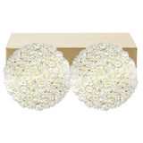 Carnations, 100 Stems