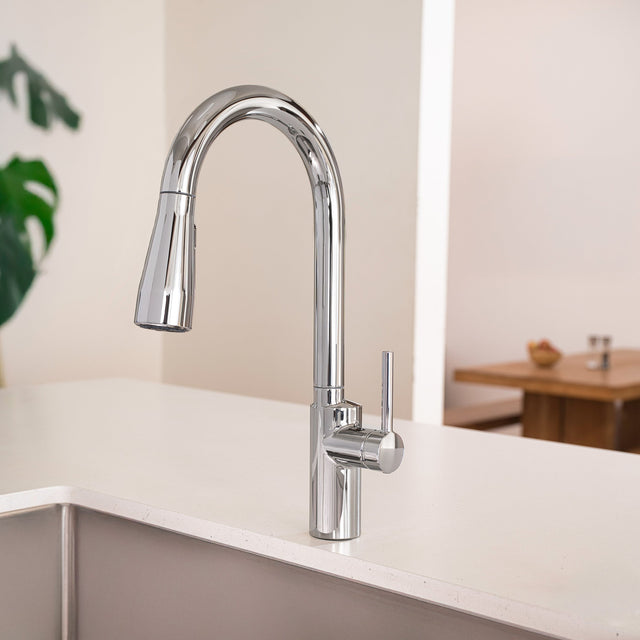 Brondell Alameda Single Handle Pull-Down Kitchen Faucet D6