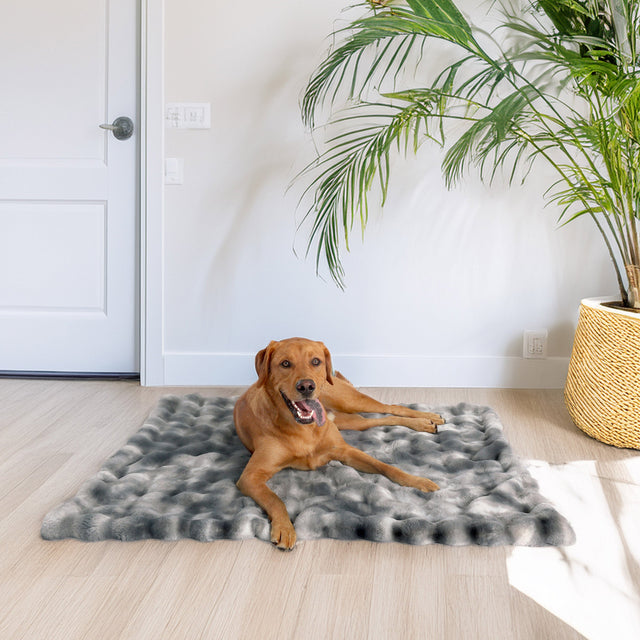 Life Comfort Luxury Pet Blanket, 40 in. x 50 in. V1